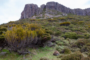 Walls of Jerusalem National Park, Central Highlands, Tasmania, Australia