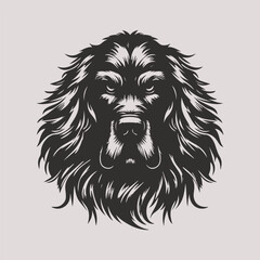 lion head vector illustration