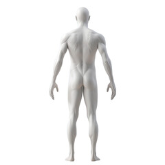 White Male Mannequin Standing in Front of White Background