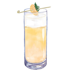 Watercolor illustration of a citrus tangerine and rosemary cocktail  . isolated.
Colorful watercolor hand-painted illustration of an alcoholic beverage in a tall glass