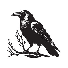 crow silhouette