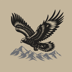 eagle in the sky