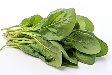 Malabar spinach, vegetable , white background.