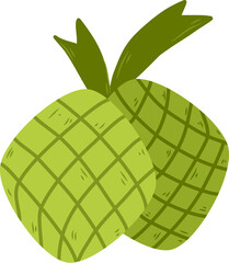 Ketupat illustration