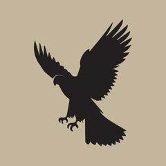 bald eagle in flight