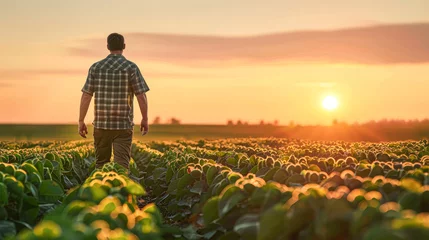 Tuinposter A man stands in a field of green plants, looking at the sun as it sets. Concept of peace and tranquility, as the man takes a moment to appreciate the beauty of nature © Kowit