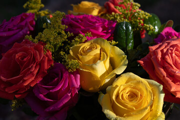 Pink, yellow and coral colored roses with water on the petals