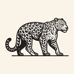 leopard vector illustration