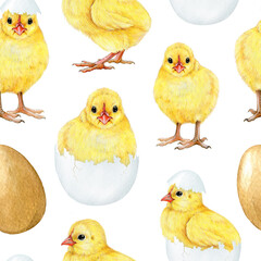 Cute small chick seamless pattern. Watercolor painted illustration. Hand drawn small fluffy newborn chicken hatched from the egg. Baby chicken farm bird seamless pattern on white background