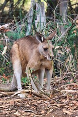 Port Arthur, Tasmania, Australia