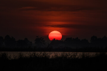 Landscape View Sunrise at Bueng Boraphet, Nakhon Sawan, Thailand