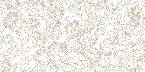 Abstract topographic background. Topographic map and place for texture. 3d render, abstract white paper background. Paper cut vector art background banner texture.  Geographic mountain relief.