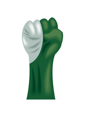 pakistan day freedom celebration