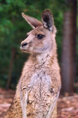Port Arthur, Tasmania, Australia