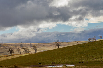 Obraz premium Landscape Scenery on The Heritage Highway, Tasmania
