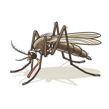 Mosquito Angry Cartoon, Isolated Transparent Background Images