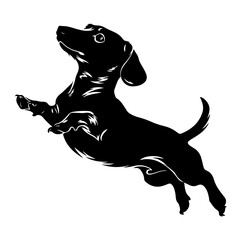 Dachshund Dog icon and symbols Silhouettes vector