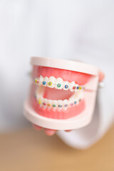 Dentist with Orthodontic tooth model and bracket or brace. Clean and Scrape off tartar. May Orthodontic Health Day, March Oral health, Dentist Day, False Teeth. Toothache and Children Dental Health