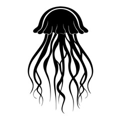 Jellyfish sketch, Hand drawn vector illustration, Sea jellyfish Design elements