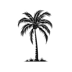 palm tree silhouette