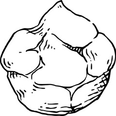 Chouxcream hand drawn illustration.