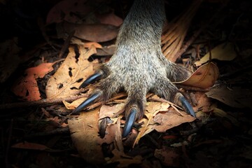 Port Arthur, Tasmania, Australia