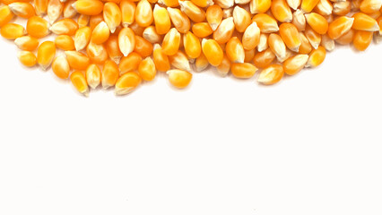cut out of close-up yellow dry corn seeds on white background