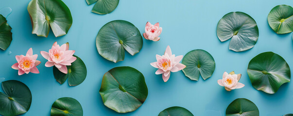 pink lotus flower in water and pure blue background - obrazy, fototapety, plakaty