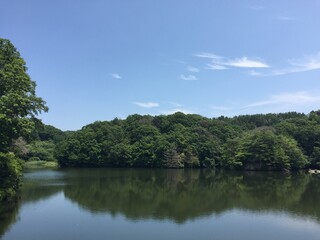 Fototapeta na wymiar 森の中の青空、くろんど池