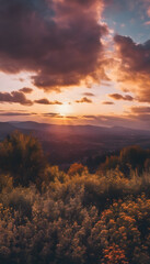 Fototapeta premium Breathtaking sunset over a forested landscape with vibrant clouds and warm light filtering through.