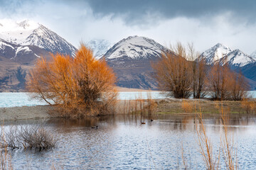 Scenic morning view of Lake Pukaki east bank, with their mesmerizing turquoise hue and reflect the majestic snow-capped Southern Alps. Perfect for travel brochures, and nature magazines.