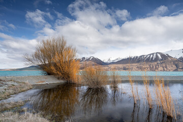 Scenic morning view of Lake Pukaki east bank, with their mesmerizing turquoise hue and reflect the majestic snow-capped Southern Alps. Perfect for travel brochures, and nature magazines.