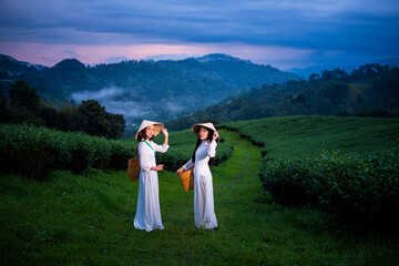 Tea garden farmers or travellers wearing Vietnam traditional dresser work carry basket picking...