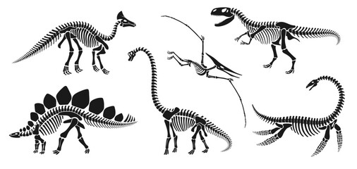 Isolated dinosaur skeleton fossil, dino bones. Vector reptile animal silhouettes. brachiosaurus, stegosaurus, olorotitan, tyrannosaur or trex, elasmosaurus and pterodactyl ancient reptilian remnants - obrazy, fototapety, plakaty
