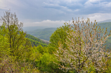 Fototapeta na wymiar scenic view of Yesil Vadi (Green Valley) and Gokce reservoir near Termal (Yalova, Turkiye) 