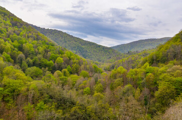 Obraz premium scenic view of Yesil Vadi (Green Valley) near Termal (Yalova, Turkiye) 