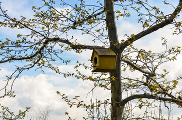 birdhouse in Uvezpinar village (Yalova province, Turkey)