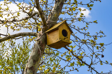 birdhouse in Uvezpinar village (Yalova province, Turkey)