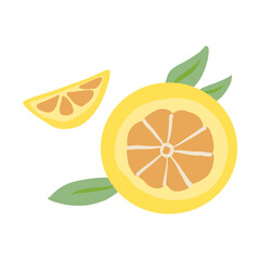 Lemon citrus, whole and slice flat vector icon isolated on white, Organic fresh healthy fruit food ingredient, decorative sign for design pattern, healthy green market, European restaurant menu