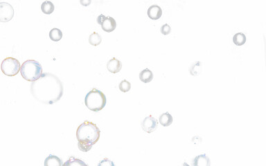 bubble transparent . soap bubbles isolated on white PNG bubble transparent