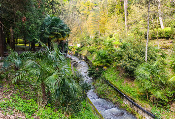 Fototapeta premium park and thermal springs in Termal Kaplicalar (Yalova, Turkey)