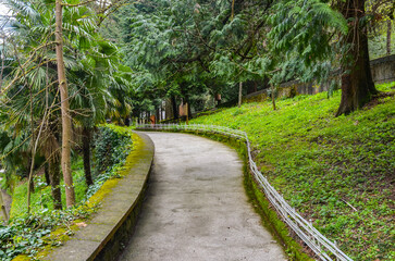 Naklejka premium promenade in Termal Kaplicalar park (Yalova, Turkiye)