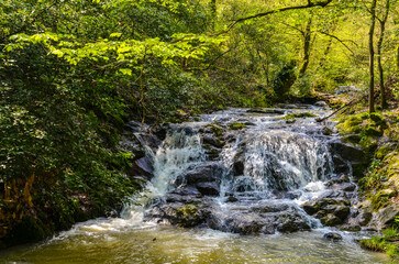 scenic waterfalls on the mountain stream in Termal Kaplicalar park (Yalova, Turkey)