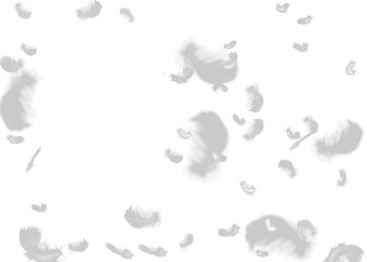 White feathers floating in the air, white feathers isolated on transparent background © shahadatarman 0