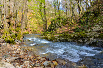 Çağlayan creek in the mountains near Termal (Yalova, Turkey)