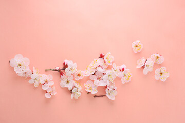 background of light pink apricot flowers
