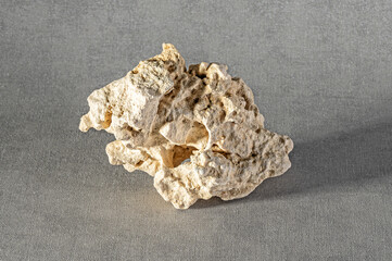 White texture stones with natural holes on a grey background. Design element.