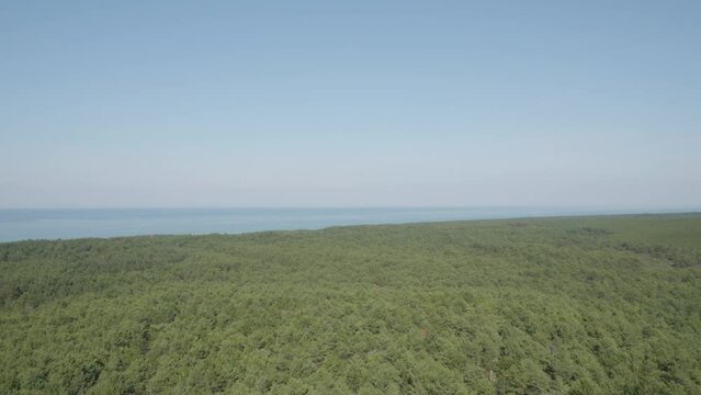 A panoramic view from the top of the Stilo lighthouse, overlooking the lush green forest and the sea, blending the beauty of nature with the maritime landscape	. Pan left shot.