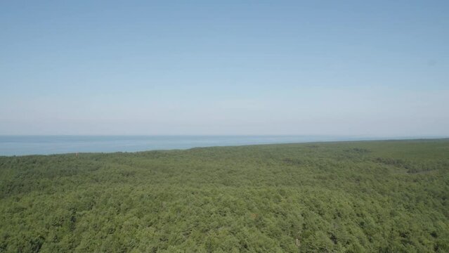 A panoramic view from the top of the Stilo lighthouse, overlooking the lush green forest and the sea, blending the beauty of nature with the maritime landscape