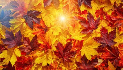 autumn leaves background - obrazy, fototapety, plakaty